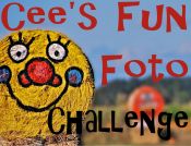 Cee's Fun Foto Challenge