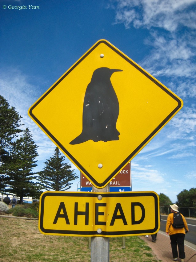 Penguins Crossing