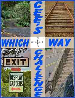 Which-Way-Banner1