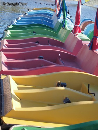 vibrant colours paddleboats