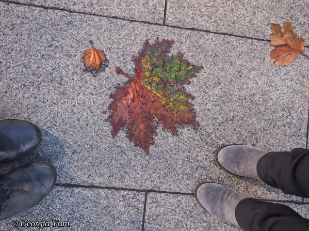 Autumn leaves feet